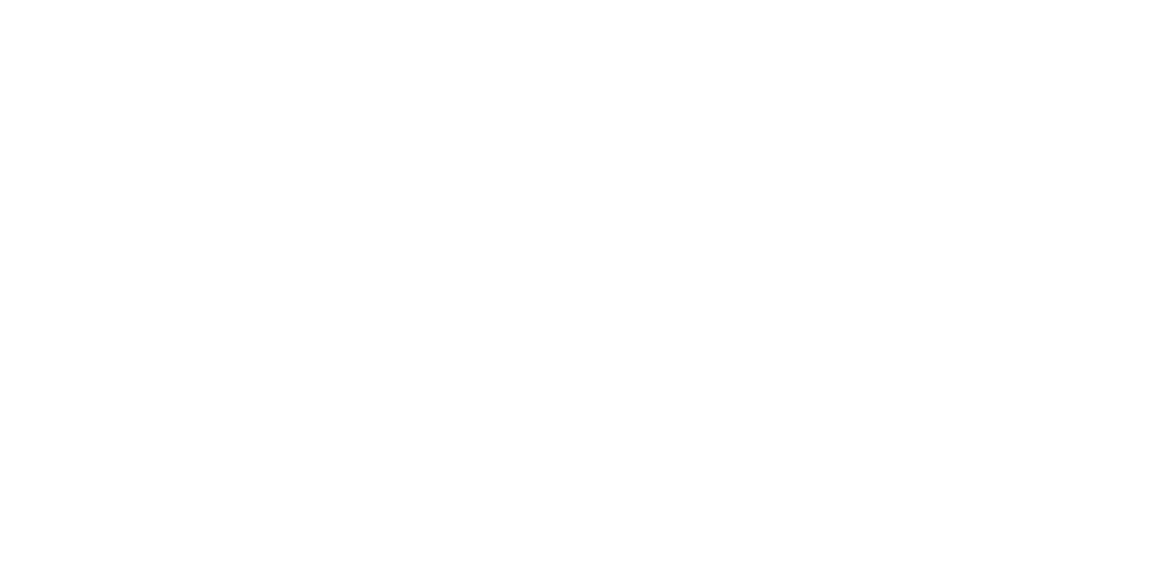 Brace Lady logo featuring a dynamic figure and text "Brace Lady" with the tagline "Supporting Your Every Move," representing custom bracing and orthotic solutions for comfort and mobility.